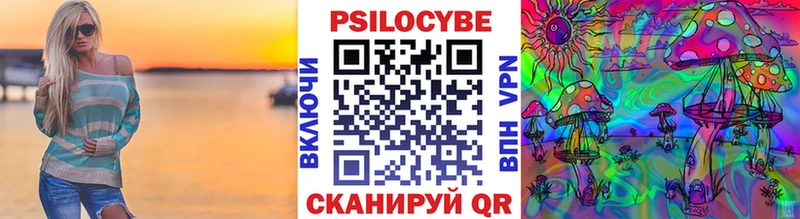 Псилоцибиновые грибы Cubensis  где найти наркотики  Эртиль 